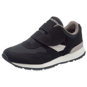 Xj[J[ fB[X  [Jbg 3E  L EH[LOV[Y fB[X ₷ }WbNe[v ₷ ^C fB[X JWAV[Y ʃt@Xi[ EB