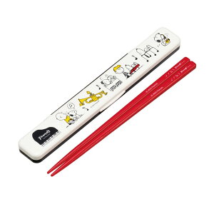 _10%OFF^ Zbg R ɂ ٓ  18cm 킢 P[X LN^[ H@Ή @Ή { `ObY Jg[ ͂Zbg l q P[X f