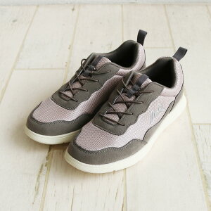 A[mhp[}[ Xj[J[ fB[X  bVXj[J[ y y ʋ ʊw X|[c ^C ʋC ɂ RC Vv |Cg ubN O[ x[W Arnie Arnold