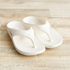 gerry Jo[T_ Y gOT_ fB[X y Ռz T_ r[`T_ y ɂ Vv n r[T  AEghA ubN   zCg AC{