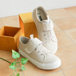 _1f[N[|Si10%OFF^ Y moz CV[Y h LbY [Jbg CXj[J[ WjA qC  j̎q ̎q V[g JC ~J w ʊw C q S