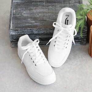 Xj[J[ Y  h [Jbg n wZ ʊw w Z C h WjA ʊwC Xj[J[ EH[LO R[gXj[J[ J zCg ubN  w ^C dj honda f