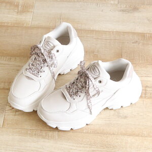 nev Xj[J[ fB[X  uh y  _bhXj[J[ Xj[J[ fB[XXj[J[  ubN  zCg y JWAV[Y ɂ C ₷