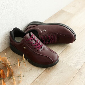 Xj[J[ fB[X  [Jbg g킸 nYt[ ₷ ʋ ʊw Ōt m EH[LOV[Y fB[X ɂ Jy pT|[g d 