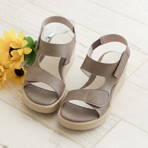 Gg[őSiP10{_MAX90%OFF^ t@[XgR^Ng T_ fB[X EFbW\[ Xgbv Eɂ I[vgD EGbW\[ 5.5cm\[ { FIRST CONTACT  ubN