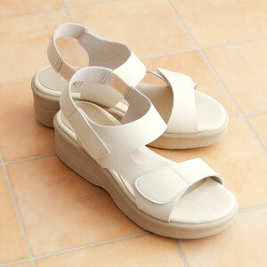 Gg[őSiP10{_MAX90%OFF^ t@[XgR^Ng T_ fB[X EFbW\[ Xgbv Eɂ I[vgD EGbW\[ 5.5cm\[ { FIRST CONTACT  ubN