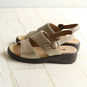 NbT T_ fB[X EFbW\[ RtH[gT_ C  ɂȂ ItBXT_ r ɂ L b SXgbv obNXgbv { Y  