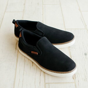 GhEB Xj[J[ Y Xb| [Jbg RȂ ₷ ₷ y NbVC\[ yʃV[Y ʋ  C JWA l j [JbgXj[J[ 