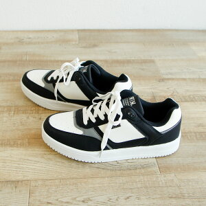 GhEB Xj[J[ Y [Jbg  ₷ ₷ y NbVC\[ yʃV[Y ʋ ʊw C R X^CAbv  JWA fC[X^C 