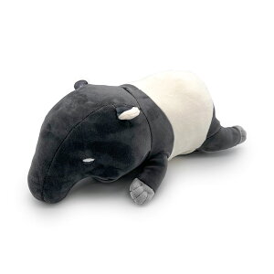 s[NbV ʂ N[ ЂObY zbg  ₦΍ ObY X`[   q  xe s AEghA Lv NbV  Aj} bT