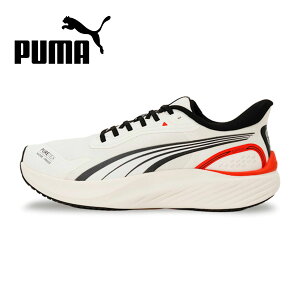 v[} jOV[Y Y fB[X H C[YC ܂ܗ nYt[V[Y ^C Xj[J[ jp p [Jbg puma pEX LITE PTX EASE IN  u