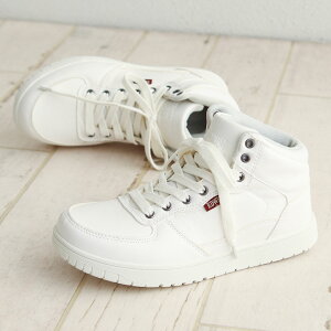 GhEB Xj[J[ fB[X h h ~bhJbg ₷ ɂ  JWA l  ʋ ʊw ^E[X i ~hJbg JWAV[Y C