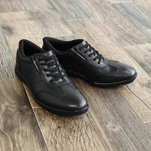 �r�W�l�X�V���[�Y �����Y �n���Y�t���[ �������܂ܗ����� �������H ���� ���L �y�� �y�� �ʋ� �a�m�C �j���p �S���R �T�C�h�S�A �X���b�|�� �J�W���A�� �r�W�J�W�V���[�Y �� �u���b�N MARIO ROZ