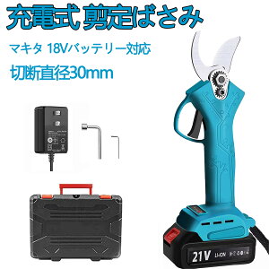 yX[p[SALE 50%OFFz΂ d oT~ [d [d  R[hX ؒfa30mm y  /}؂/ʎp |p p K[fjO A ~ } |K[f