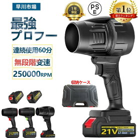 【楽天1位】ブロワー 洗車 充電式ブロワー 強力 ジェットドライブロワー 電動 エアダスター コードレス ブロアー 小型 軽量 電気エアダスター ターボジェットファン 120m/s 250000rpm 高速回転 21V バッテリ一互換対応 ハンディ- 小型ミニ
