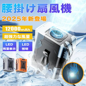 _2025VilC^Ki |t@ |@  |t@ |[^ut@ 5iK ͕ xg |[^u@ 1000mAh 8~24Ԓԉғ ^ WFbgt