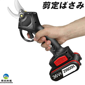 楽天市場 電動 ノコギリ 女性 ガーデニング 農業 花 ガーデン Diy の通販