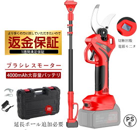 【収納箱付 】剪定ハサミ 電動 高枝切りバサミ 充電式 2-IN-1 高枝切りばさみ ブラシレスモーター搭載 コードレス 剪定ばさみ 電動チェーンソー 高枝切り 剪定鋏 枝切ハサミ 4000mAhリチウム電池付き PSE安全認証取得済み 敬老の日 プレゼント