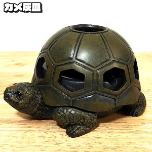 DM ʔ J  t^t DM T CeA i ^oR Y v[g Mtg O