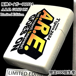 ZIPPO 100Y _^CK[X 2024 V[YS ARE Wb| C^[ VAio[     싅 }bgzCg CG[  Mtg v[g Y