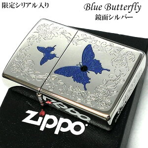 ZIPPO  u[o^tC Wb| C^[ [Y Vo[ VANo  zCgjbP 킢 XtXL[ X ʉH  o u[   KN Y f