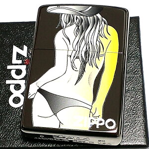 ZIPPO C^[ ZNV[  Wb| {fB[ ubNjbP vg C^[ N₩  fB[X Y L v[g Mtg