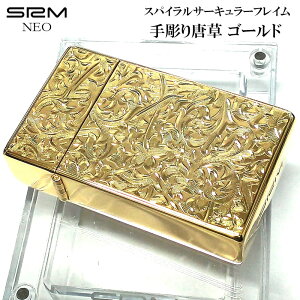 KXC^[ ^[{ 󂠂 SAROME NEO 蒤蓂 S[h T lI AxXN  XpCT[L[tC  ʉH SRM pՕi  AEghA Lv 