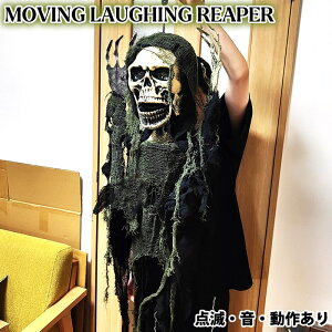 [rObtBO[p[ nEB CeA KCRc  fBXvC hN  [ AJ G o[ JtF X X 