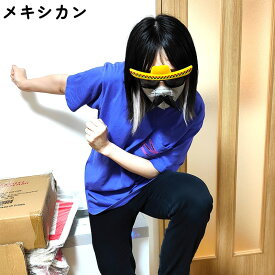 サングラス おもしろい 選べる ファニーサングラス アメフト バスケット ポリス メキシカン コスプレ かわいい 面白い ユニーク 雑貨 アメリカン ギフト プレゼント