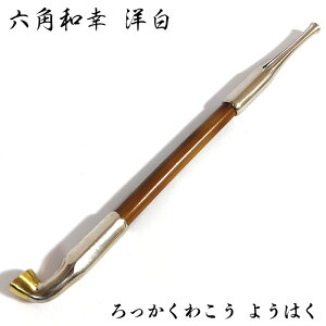  tJVސ ZpaK m i  Vo[ LZ ΂   v[g Mtg