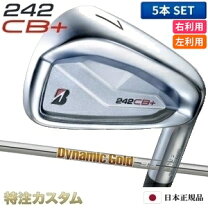 楽天市場】ダイナミック ゴールド 95 装着 アイアンの通販