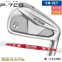 楽天市場】アイアン モーダス 125の通販