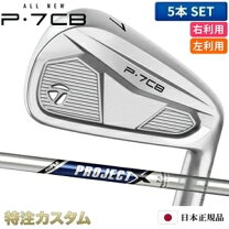 楽天市場】プロジェクトx 6．5の通販