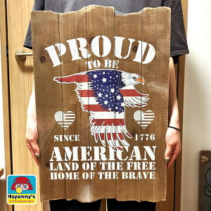 Ebh{[h Ŕ PROUD TO BE AMERICAN AeB[N ؐ AJ K[W Lv  rO Ǌ|  JtF 킢 X  g