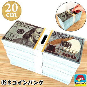  100h D RCoN ʔ US AJ G 킢 CeA  fBXvC u AeB[N