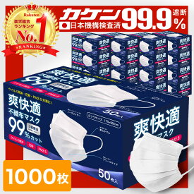 ＼6/5まで限定価格！／【VFE/PFE/BFE99% 耳が痛くならない 不織布マスク 】 マスク 不織布 1000枚 50枚×20箱 不織布マスク カラー 立体 オメガプリーツ 日本 企画 大人 やわらか 秋 包装 爽快適送料無料 子供 -ss