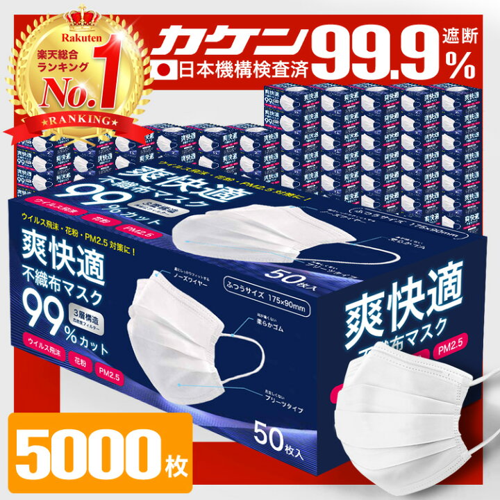 楽天市場】＼6/30まで限定価格！／ マスク 不織布マスク プリーツ 