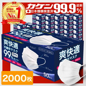 【11/20】【VFE/PFE/BFE99% 耳が痛くならない 】 マスク 不織布 2000枚 50枚×40箱 不織布マスク カラー 立体 オメガプリーツ 日本 企画 大人 やわらか 秋 包装 爽快適送料無料 子供 子ども用にも -ss　6738　13612