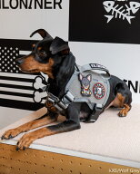【KILONINER日本公式ショップ】 M3A ハーネス キロナイナー 犬用ハーネス 胴輪 小型犬 中型犬 大型犬 メ…