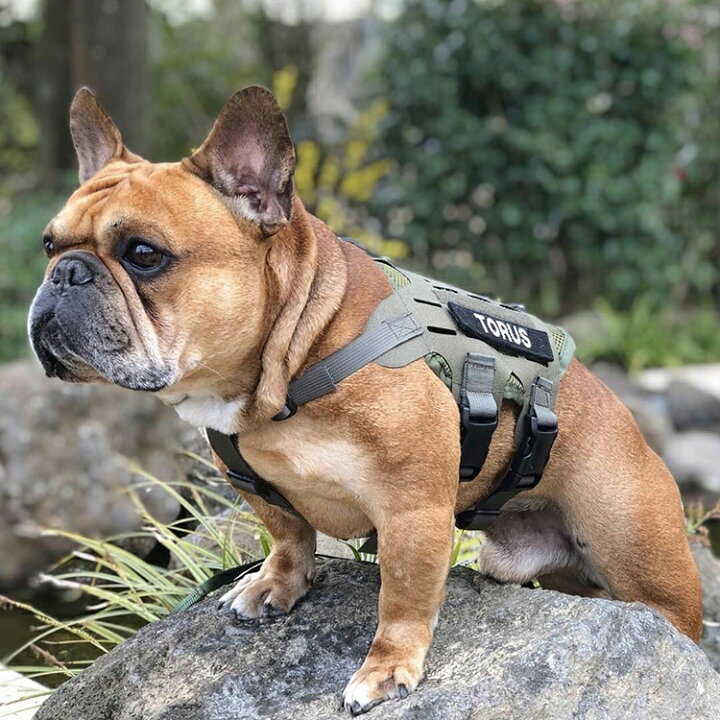 楽天市場】【KILONINER日本公式ショップ】 キロナイナー ハーネス 犬 