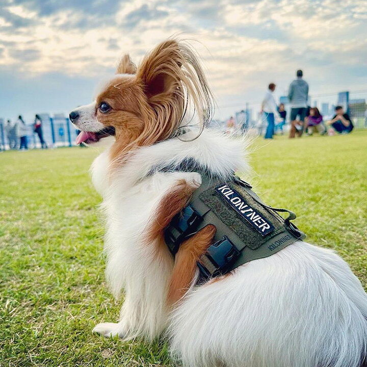 楽天市場】【KILONINER日本公式ショップ】 M5 Light Vest（M5ライト 