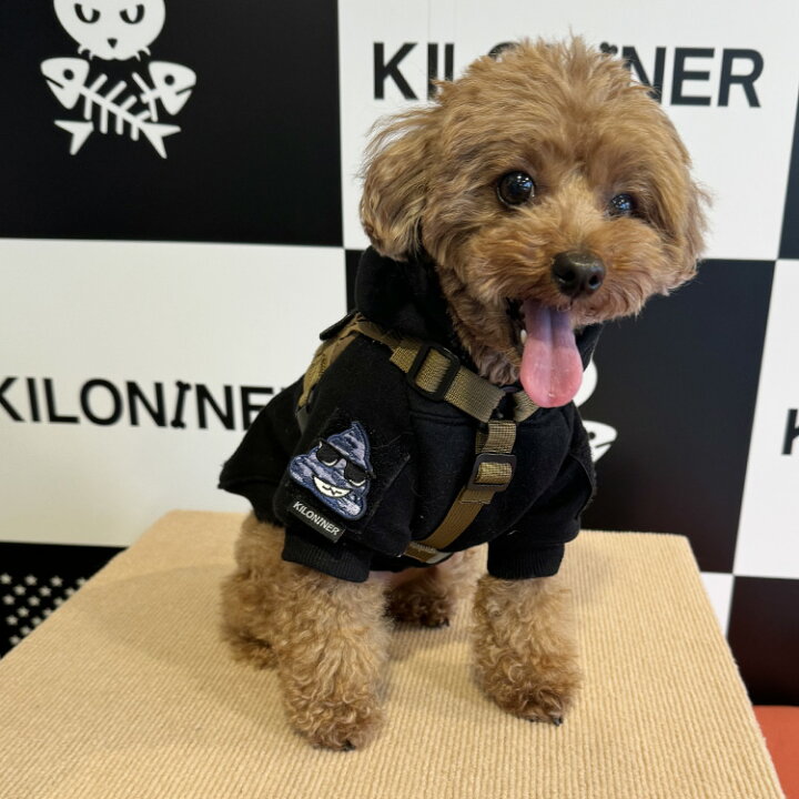 楽天市場】【KILONINER日本公式ショップ】 キロナイナー パッチ 