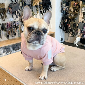 yKILONINER{Vbvz LiCi[ hbOEFA p[J[  t[ht ^ ^ ^ vI[o[ t[fB R6 hoodie