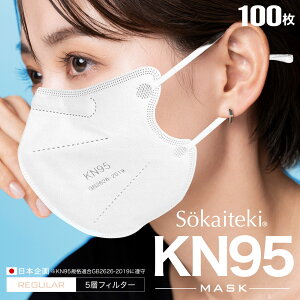 _艿i9/25܂Ł^ KN95}XN N95}XN y 5Zbg z 100 N95 20×5 }XN KN95 sDz}XN ̃}XN sDz  5w 3d S ɂȂȂ J[ ԕ΍ Sokaiteki N95