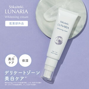 y 򕔊Oi z fP[g][ N[  PA ێ  Y  tFPA {fBPA   oXg oXggbv e G I vio  ݃PA Ff  DP