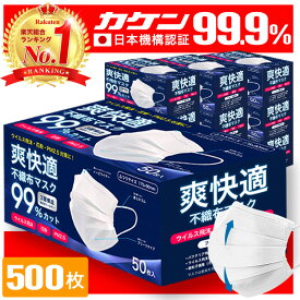 ＼8/10まで限定価格！／ マスク 不織布 白 500枚 50枚 10箱 不織布マスク プリーツマスク 大人 子供 小さめ 使い捨てマスク オメガプリーツ ウイルス 花粉 PM2.5 99%カット Sokaiteki Premium ホワイト 送料無料