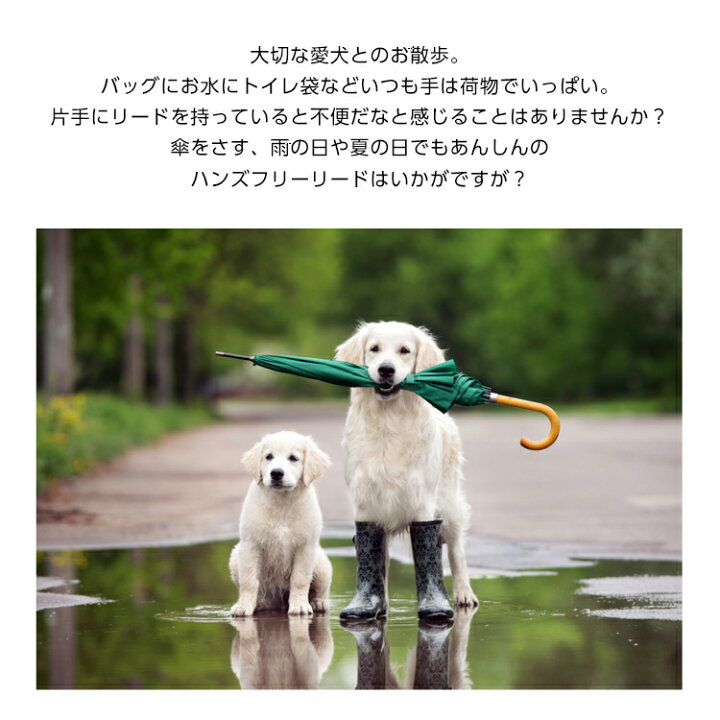 楽天市場 ハンズフリーで楽しくお散歩 犬 リード おしゃれ 長い ショルダー ハンズフリー 肩掛け 斜め掛け ななめ掛け ショルダー ドッグ ランニング マラソン ハイキング フリーハンド 中型犬 大型犬 肩かけリード ペット 送料無料 Mono Koto Dept