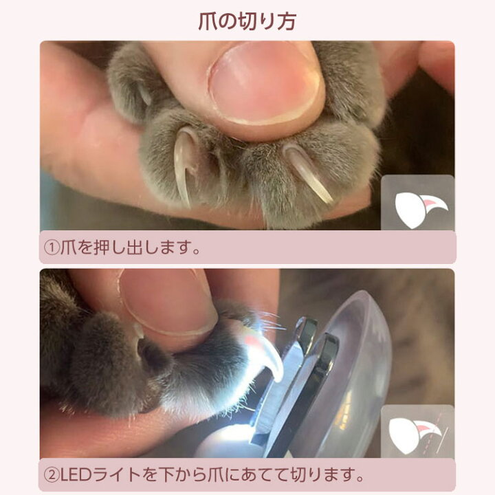 楽天市場 爪をライトで照らしてカットできる爪切り ペット 爪切り ニッパー ペット用 ツメ切り ソフトグリップ 光る Led ライト 爪とぎ 付き 犬 小型犬 中型犬 大型犬 イヌ うさぎ つめ切り おしゃれ かわいい 簡単 送料無料 Mono Koto Dept