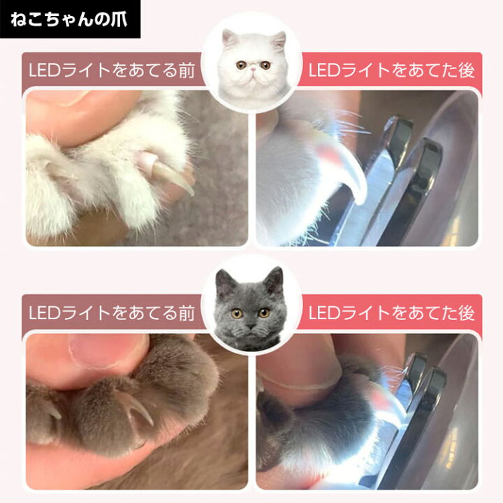 楽天市場 爪をライトで照らしてカットできる爪切り ペット 爪切り ニッパー ペット用 ツメ切り ソフトグリップ 光る Led ライト 爪とぎ 付き 犬 小型犬 中型犬 大型犬 イヌ うさぎ つめ切り おしゃれ かわいい 簡単 送料無料 Mono Koto Dept