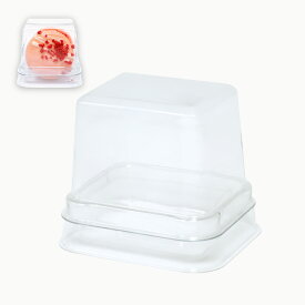 【業務用】プラスチックケース 1個入り プラケース 透明